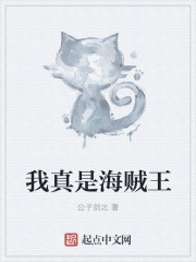 海贼王漫画