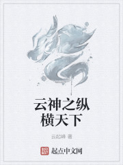 纵横天下电视剧百度云