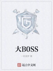 大B0SS传媒