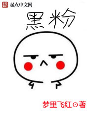 黑粉的英文