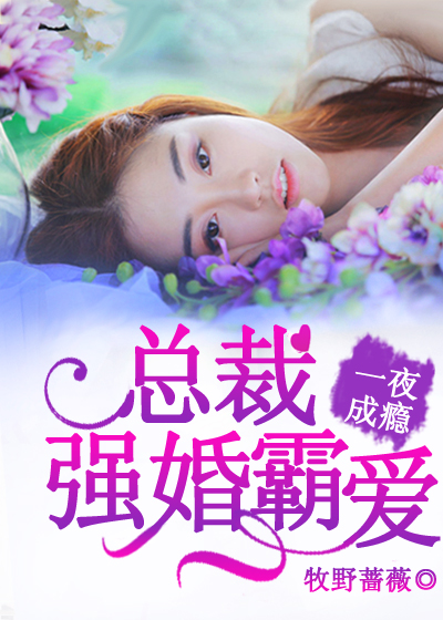 一夜成瘾:总裁强婚霸爱 牧野蔷薇