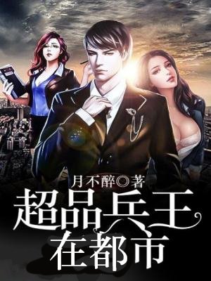 都市超品兵王下卷