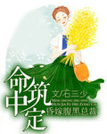 命中注定小说免费阅读