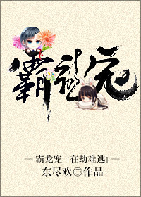 霸龙宠小说