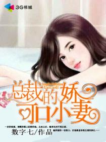 总裁的可爱娇妻连晓