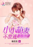 霸爱追婚小小萌妻不要逃 小说