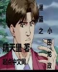 灌篮之小田龙政精校